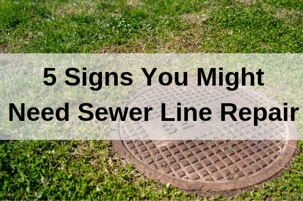 Signs You Might Need Sewer Line Repair Accurate Leak Line